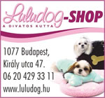 Luludog